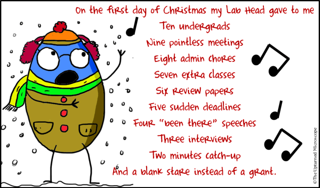 First day of Christmas