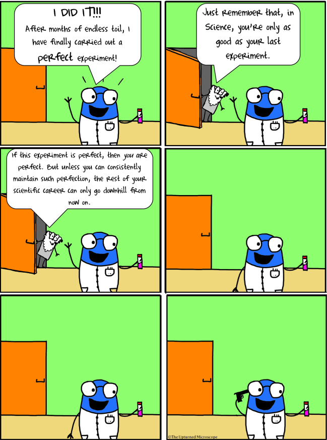 Perfect experiment-NEW