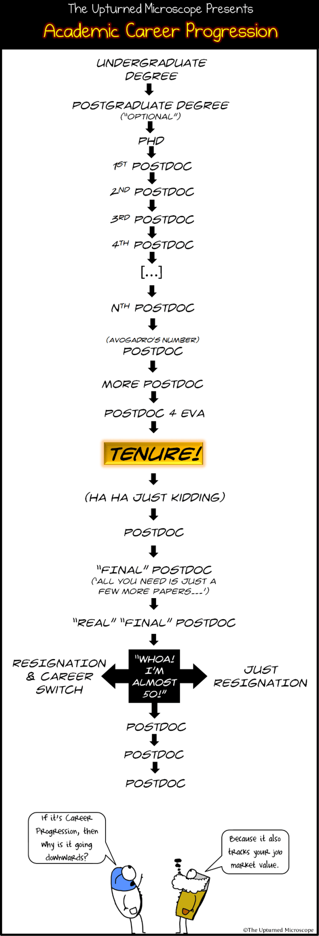 Academic Career Progression