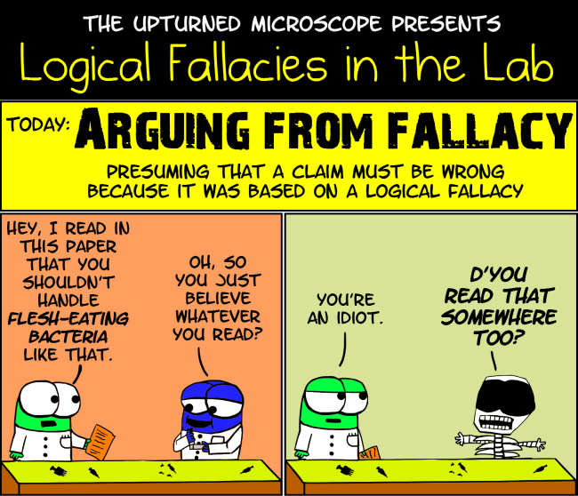 LF4 Arguing from fallacy