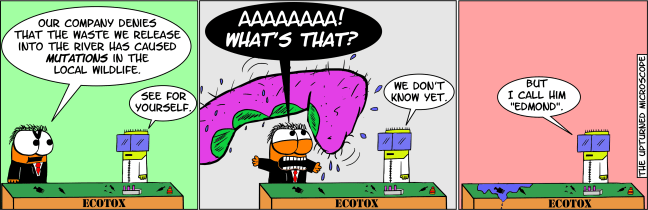 FLASH March2015 (Ecotox)_2