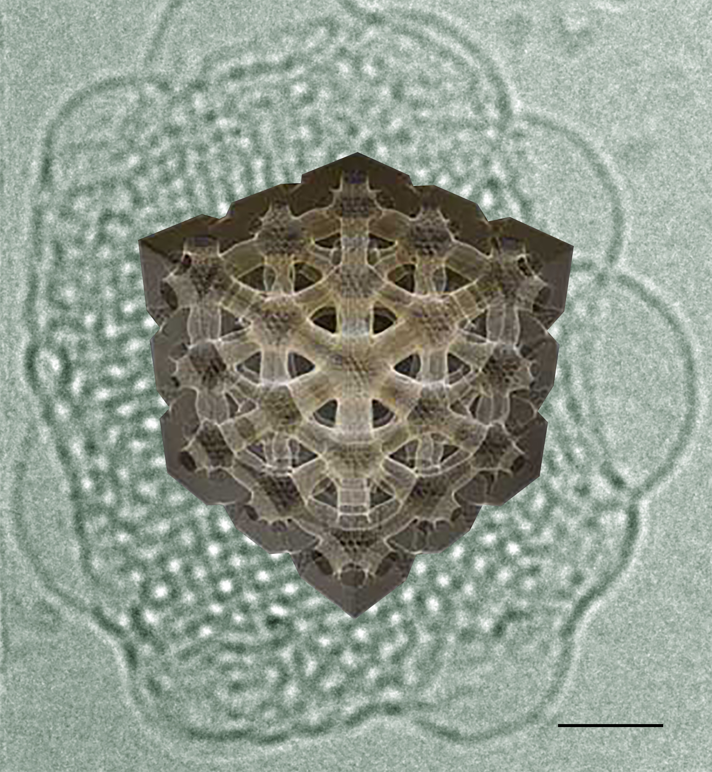 Featured Image for Nik EPFL