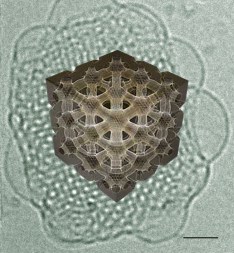 Featured Image for Nik EPFL